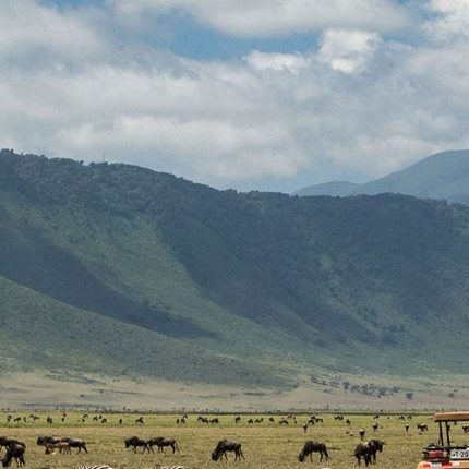 5 Days Ngorongoro and Chimpanzee Safari