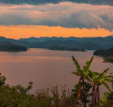 6 Days Rwanda Gorilla and Lake Kivu Safari