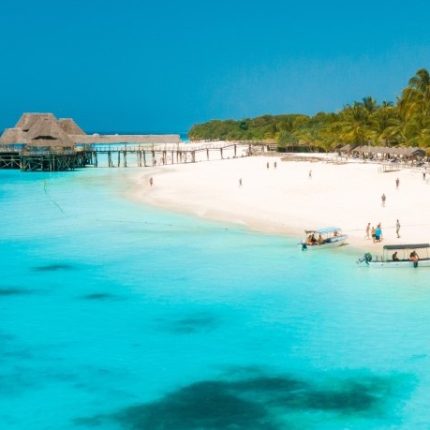 7 Day Gorilla Trekking and Zanzibar Safari