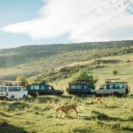 7 Days Rwanda Gorilla Trekking and Masai Mara National Park Safari
