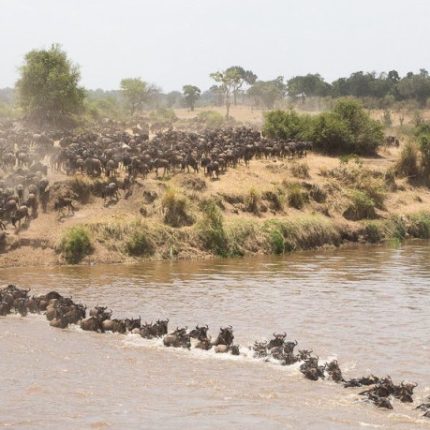7 Days Tanzania Northern Circuit Safari