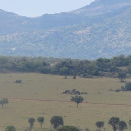 Kidepo Valley National Park